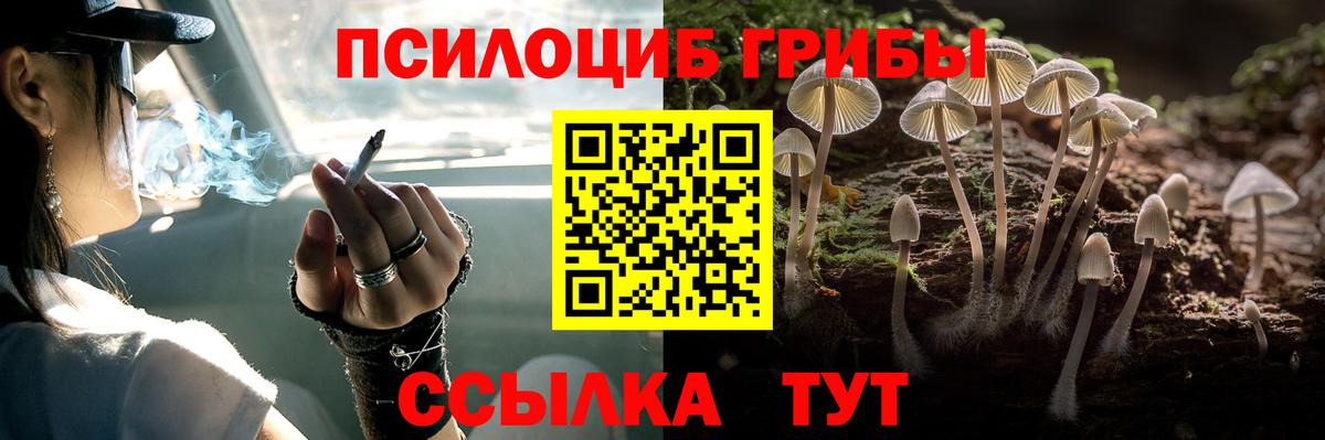 Нижний Тагил  Псилоцибиновые грибы Magic Shrooms  Вход с VPN 